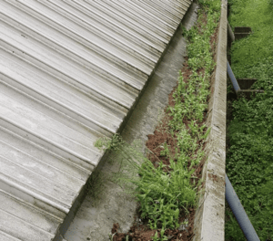 Happy customers in Redhill who trust The Roof Moss Cleaners for gutter cleaning services